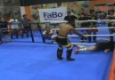 Saenchai Sparring KO