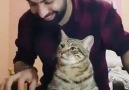 Sahibinin çaldığı piyanoda huzur bulan kedi