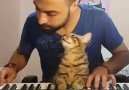 Sahibinin Müzik Çalmasıyla Kendinden Geçen Kedi