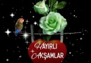 Sahil Köy - iyi akşamlar