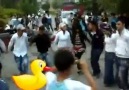 şahintepe gençlik MUŞ MALAZGİRT GENÇLERDEN... - KÜRT HALAY DÜNYAS