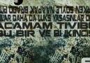 Saian - Mafya Şarkısı & süper rap dınle