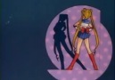 sailormoontr 24 B