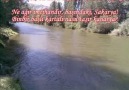 Sakarya Türküsü..  /i./