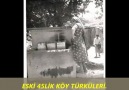 SAKİR ÖNER GÜRNHAN_U-H_KINALI KEKLİĞİM İNDİ PINARA  ELİNİ YUMAYA.