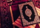Salafi network - ...