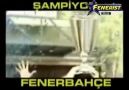 Şampiyon Fenerbahçe - Bayan Basketbol
