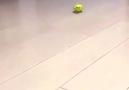 Şampiyonluk yolunda Fenerbahçe