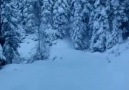 Samsun Alaçamda harika ötesi kar manzarası