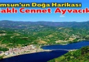 Samsun Güncel Haber - SAMSUN ÖZEL KONUĞUMUZ AYVACIK BELEDİYE BAŞKANI HALİL KALAYCI - CANIM DAYIM FİLM YÖNETMENİ FUAT YILMAZ