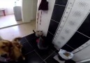 Sana mama yok