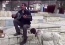 Sanat düşmanı köpekle çalgıcı abimizden günaydın mesajı..