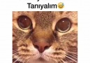 4 saniyede kızları tanıyalım D