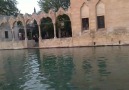 Sanli Urfa balıklı göl - Rukiye Azak Özer