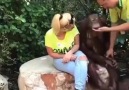 Sapık Maymun