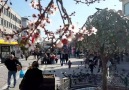 Saraçlar Caddesi ne Edirne ye bahar geldi....