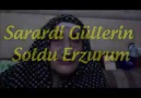 Sarardı Güllerin Soldu Erzurum