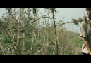 SARI SICAK filminin fragmanı Trailer of YELLOW HEAT