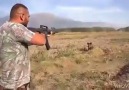 Şarjörlü Tüfek İle Domuz Avı