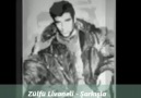 ŞARKIŞLA  Zülfü Livaneli