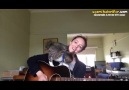 Şarkıyı Her Zaman Söylersin Güzel Ablam Şimdi Beni Sev Diyen Kedi