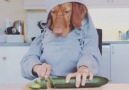 Saturday snacking Follow me on Instagram tikkenthevizsla