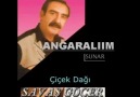 Savaş Göçer - Çiçek Dağı- ANGARALIIM