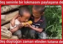 Sayfamızı beğenmeyi unutmayalım Trabzon ACİL Haber 61