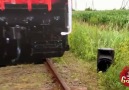 Scaring people with fake train.
