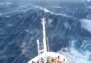 Scary waves of the sea...