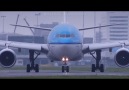 Schiphol Airport: Aircraft Movements