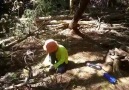 School age busy today in the forest.