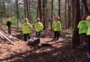 School age ForestKids in the forest this afternoon.