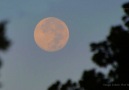 ScienceCasts- 2016 Ends with Three Supermoons