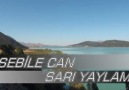 SEBİLE CAN SARI YAYLAM.