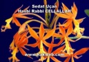 Sedat Uçan - Hasbi Rabbi CELLALLAH./By Store™/