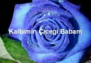 Sedat Uçan Kalbimin çiçeği BABAM &lt3