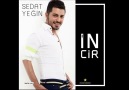 Sedat Yeğin - İncir ( Klipsiz )