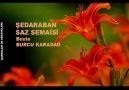 Şedd-i Araban Saz Semaisi