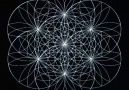 Seed of Life Transforming
