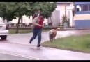 Segura esse bicho a!