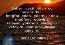 Seher vakti İstiğfar eden yok mu* Seyirhanem * Mevlanam *