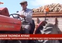 ŞEKER TADINDA KIYAK !