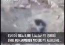 Selahattin Özgündüz'ün övdüğü Nusayri köpekler!