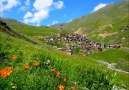 Selçuk Balcı- Duman Dağdan Yukarı