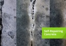 Self-Healing Concrete