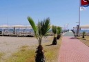Selge Beach - Sahil Kafe - Selge Beach... - Selge Beach Resort&ampSpa
