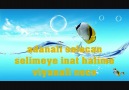 selocan selimeye inat halime by winec