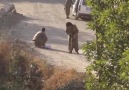Şemdinli'de 6 terörist öldürüldü
