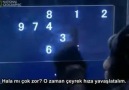 Şempanze Hafıza Testi